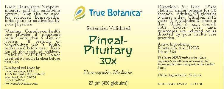 Pineal-Pituitary